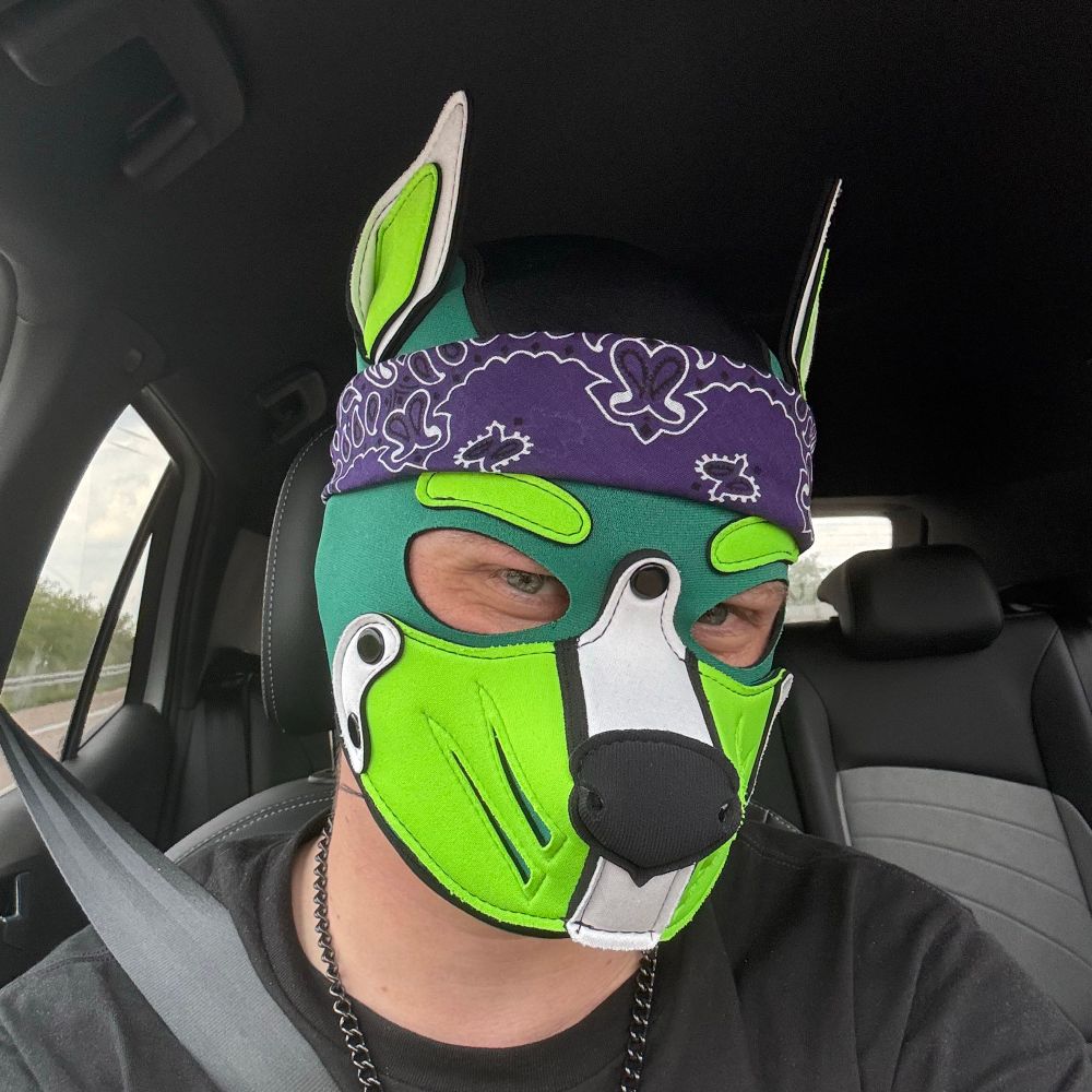 Pup Ventus