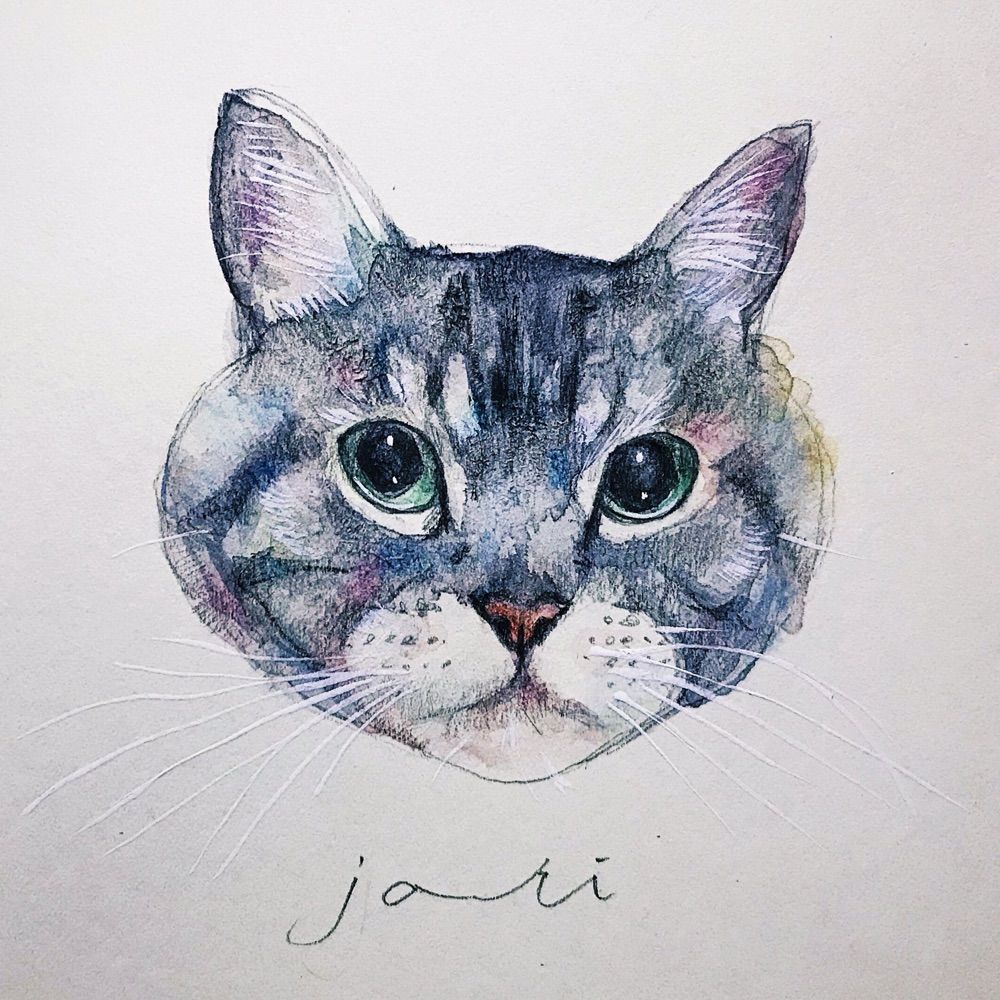 邪悪な猫使い