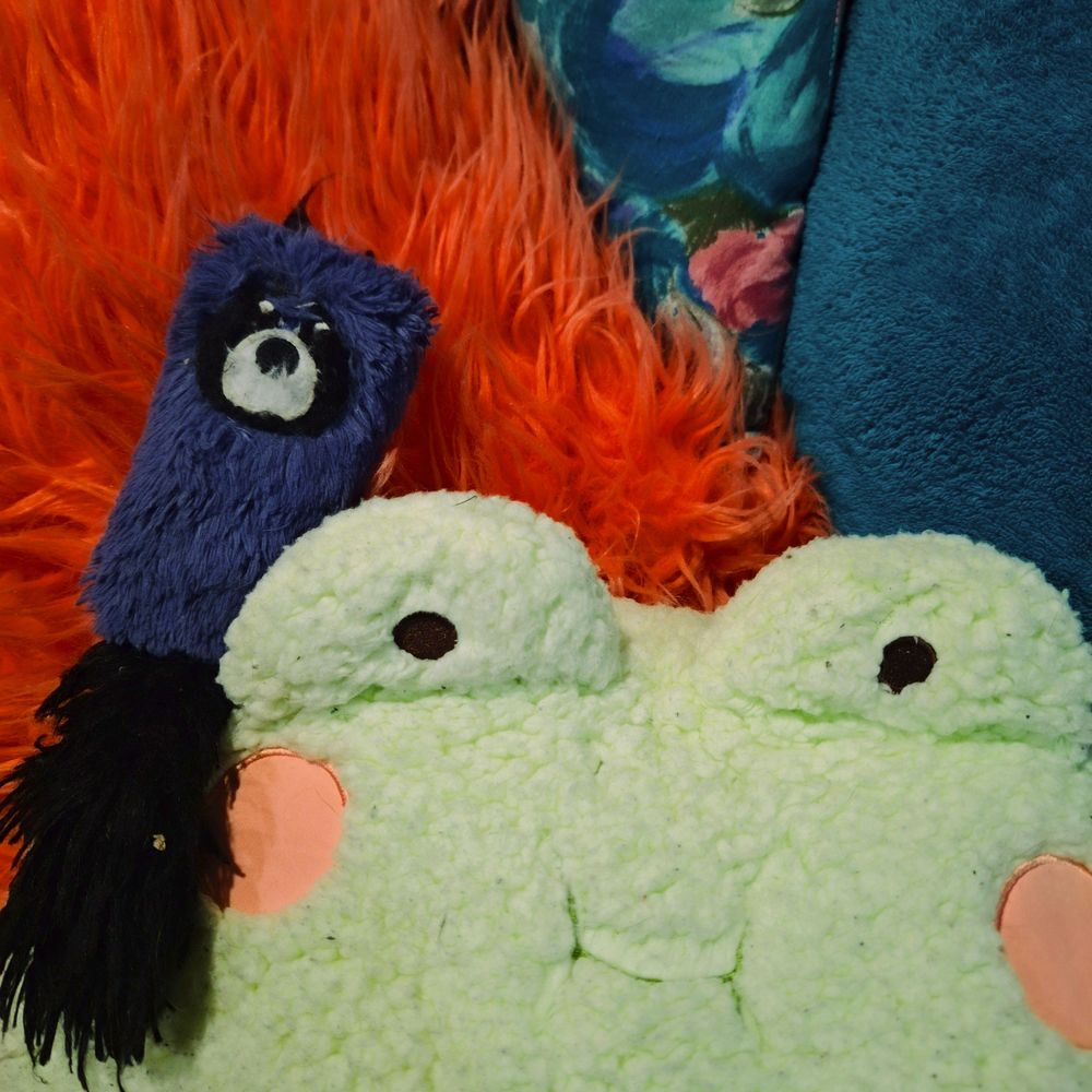 Raccoon And Frog