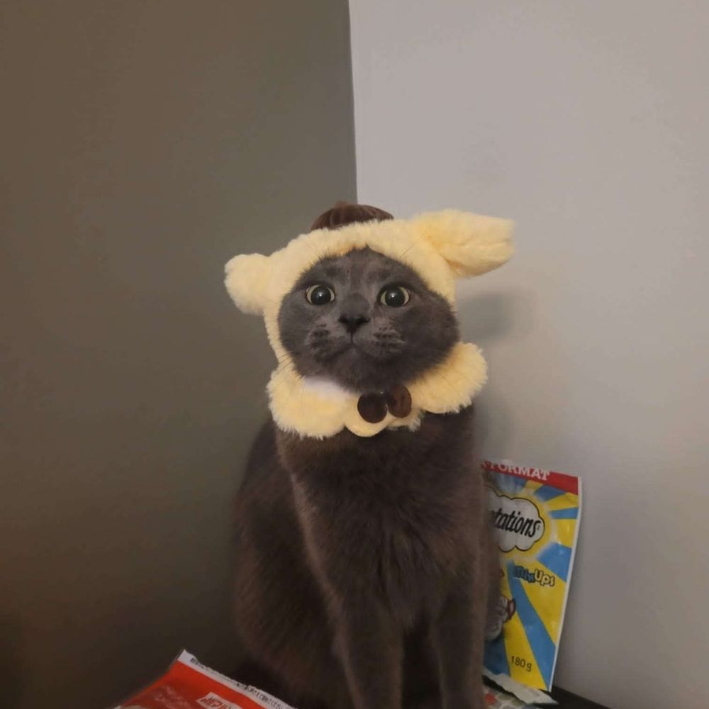 Mo