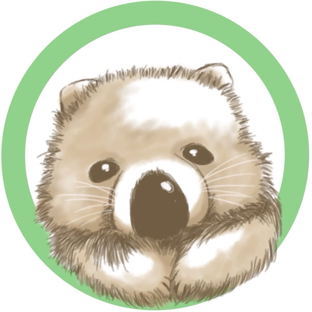 🐨ちゃん