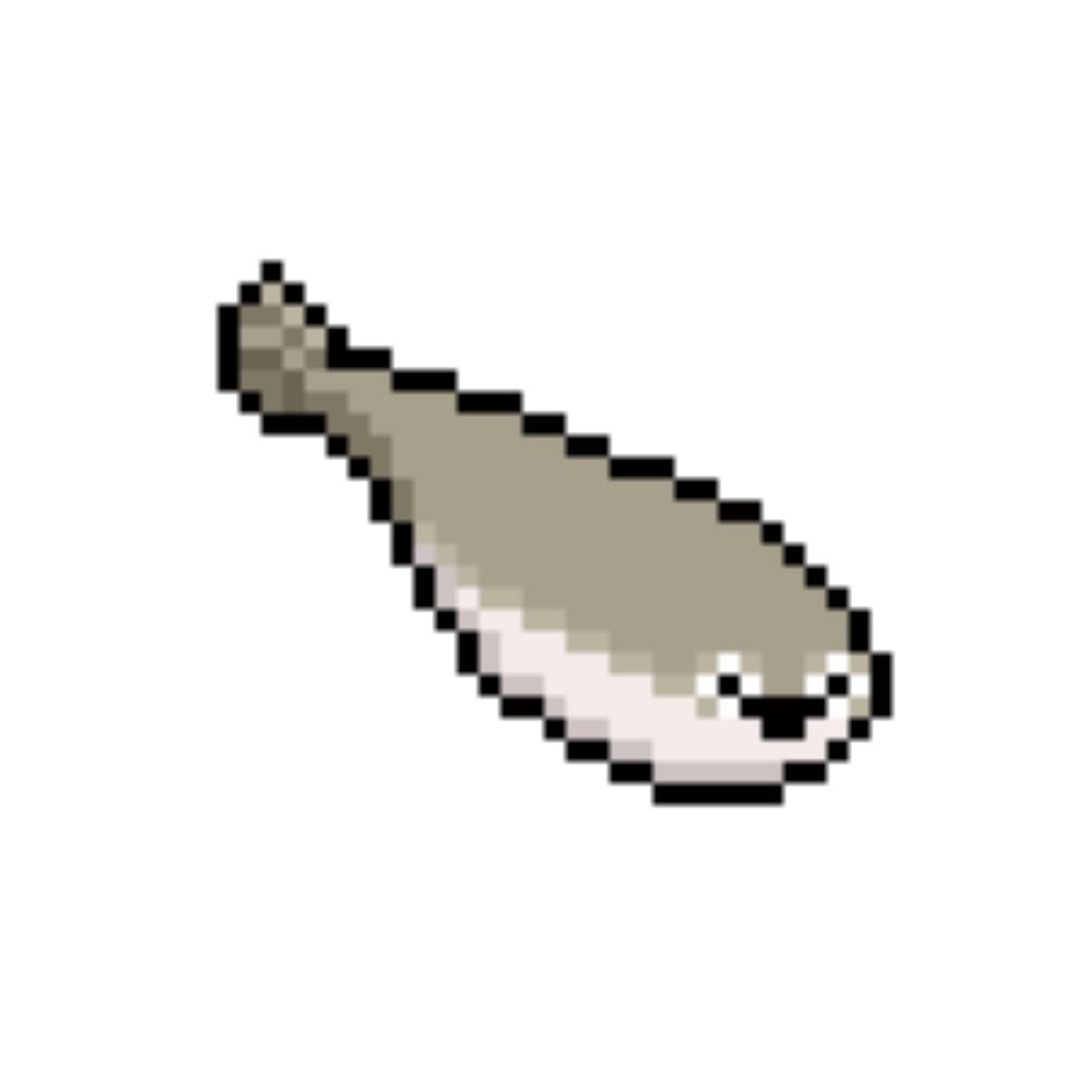 遊鳥🐦