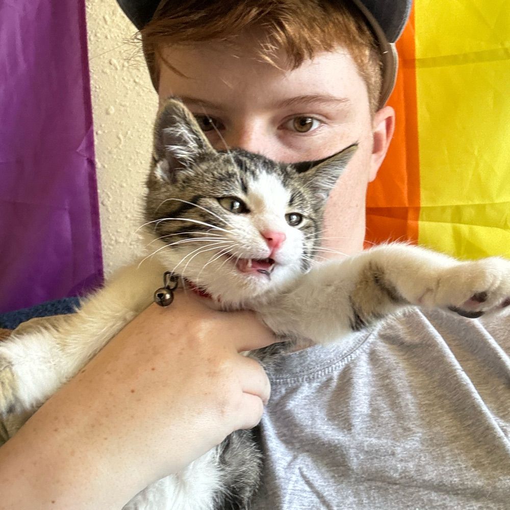 Nik 🏳️‍🌈 🎮 🦕