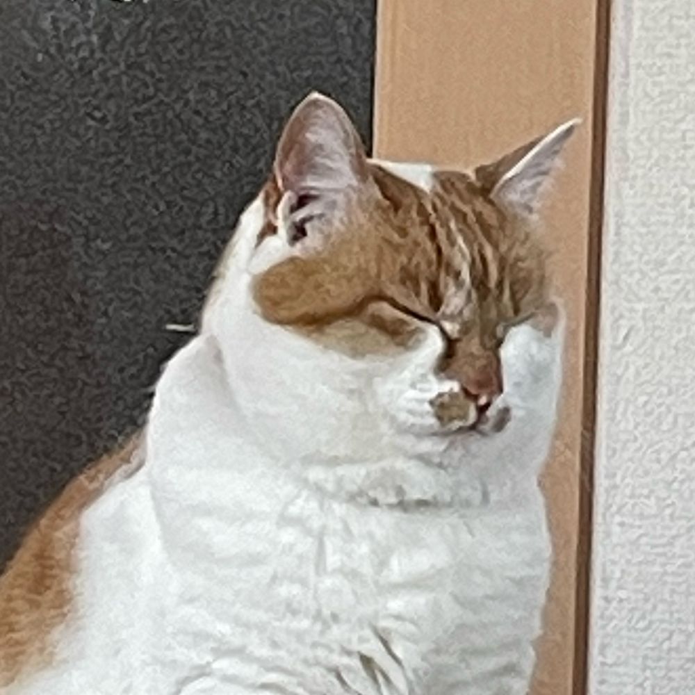 辻原
