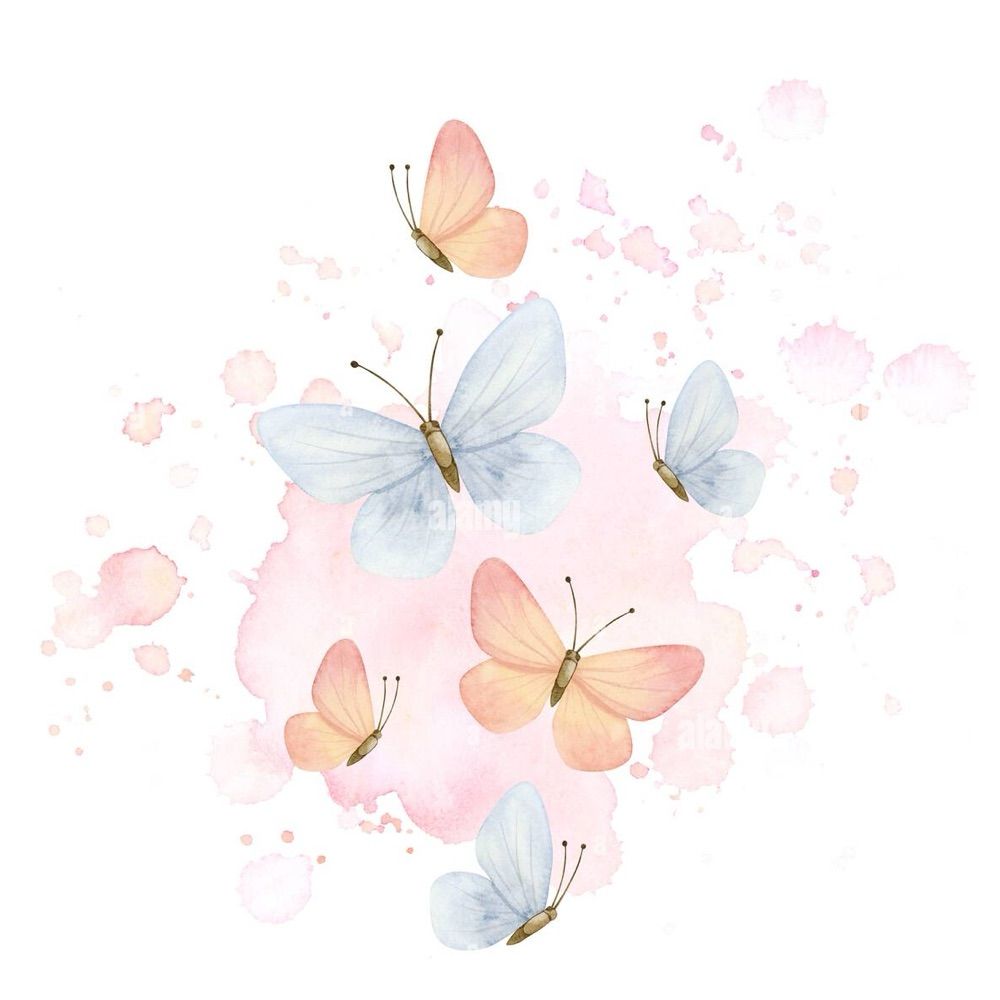 A Soft World