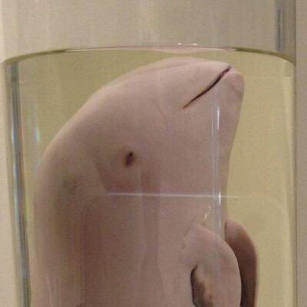 虚炉