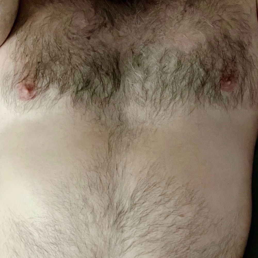 Bear in the Middle