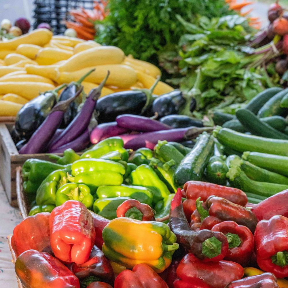 Maine Federation of Farmers' Markets (MFFM)
