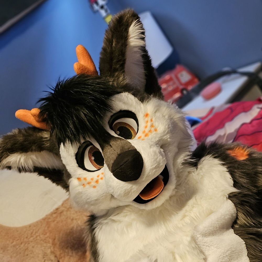 Coal/Cupun Pup