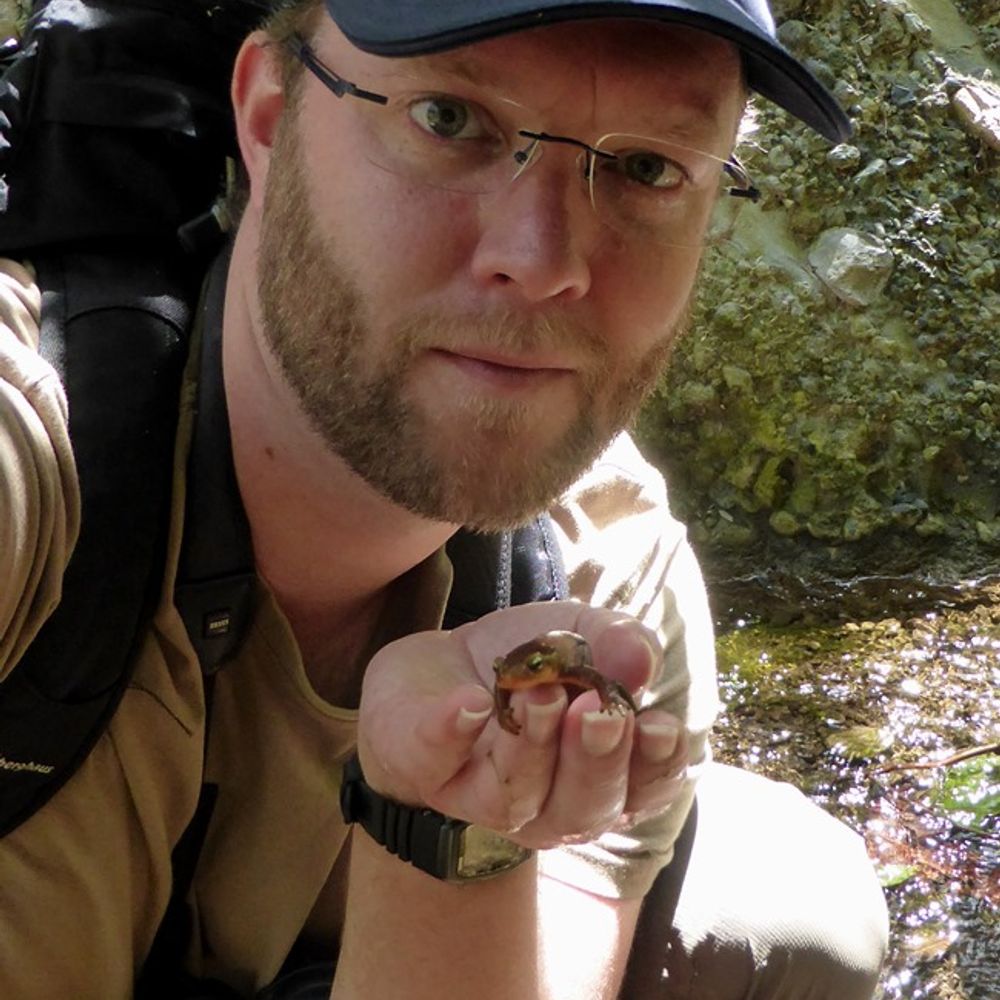Ben Wielstra