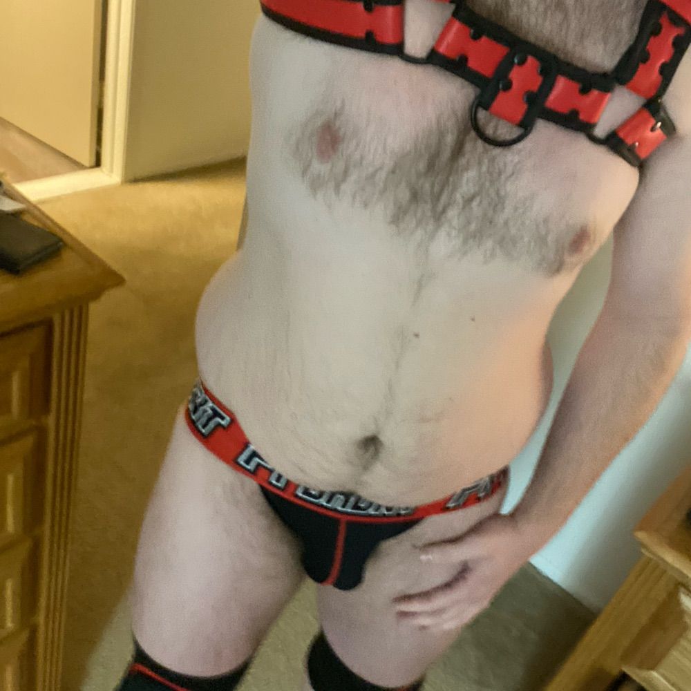 Gay Michigan cub