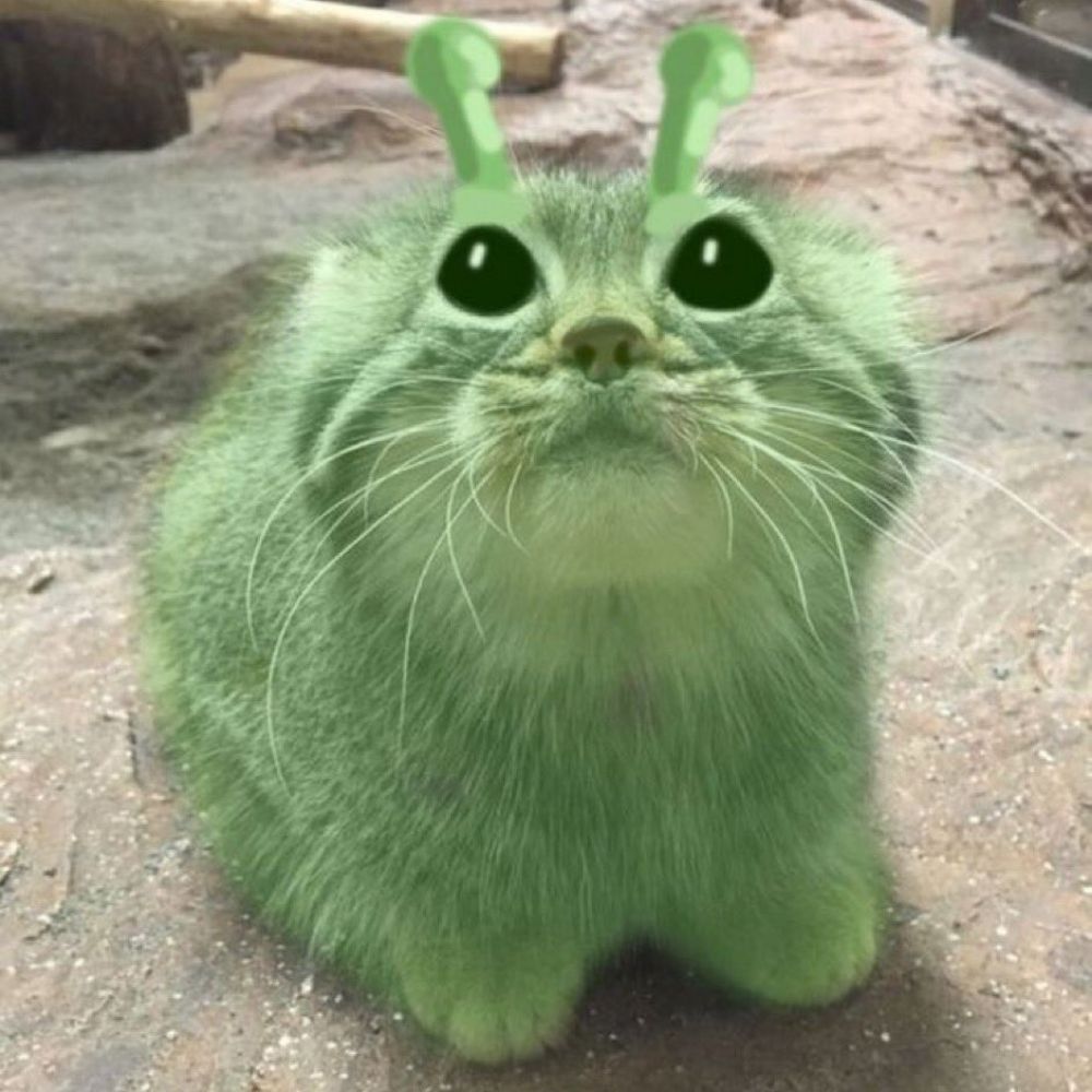sįr ighäita 