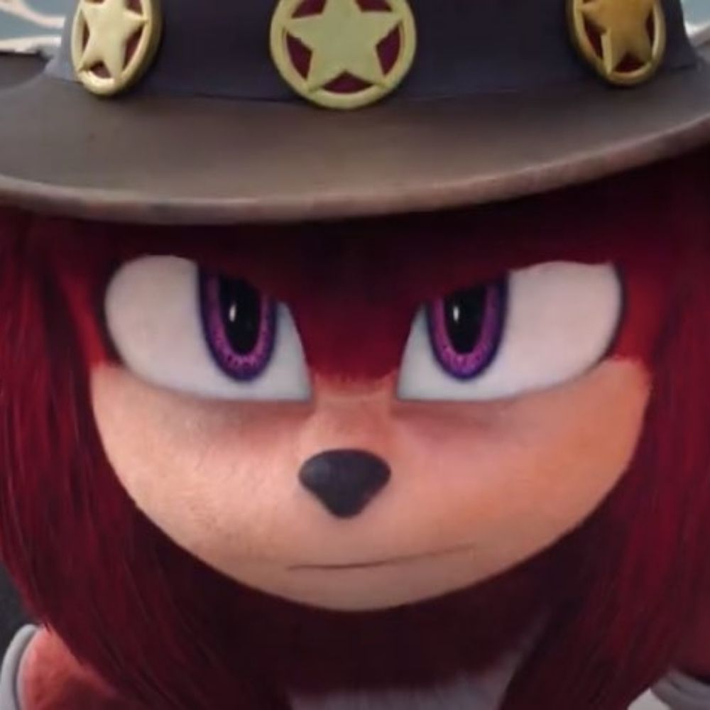 Daily knuckles the echidna