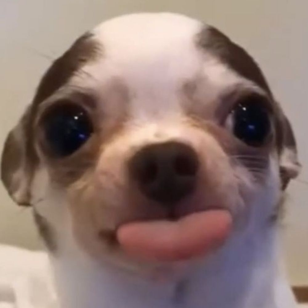 와와
