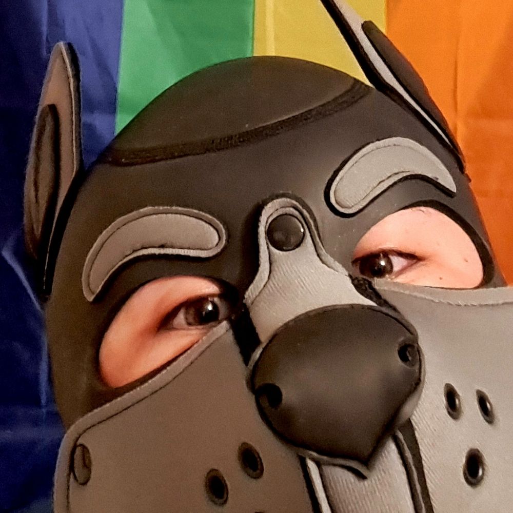 Taco de suaperro 🐺🌮