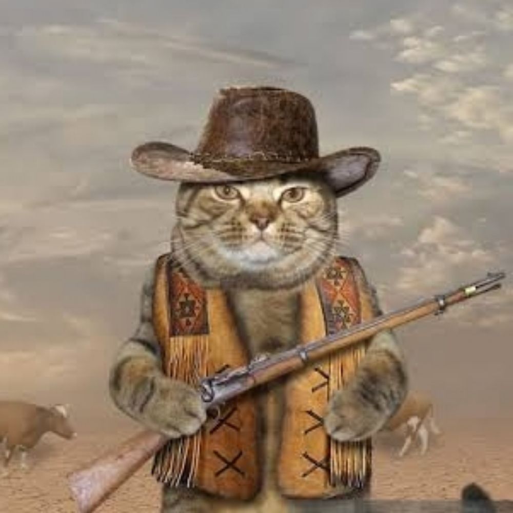 gato vaqueiro
