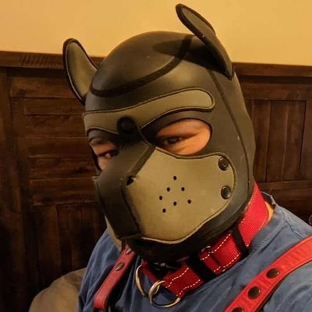 Sir Erebus/Pup Bandit