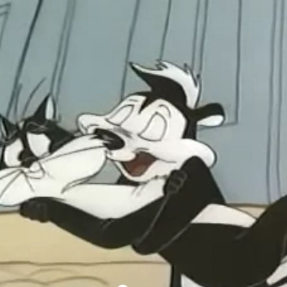 not-only-no.bsky.social profile picture