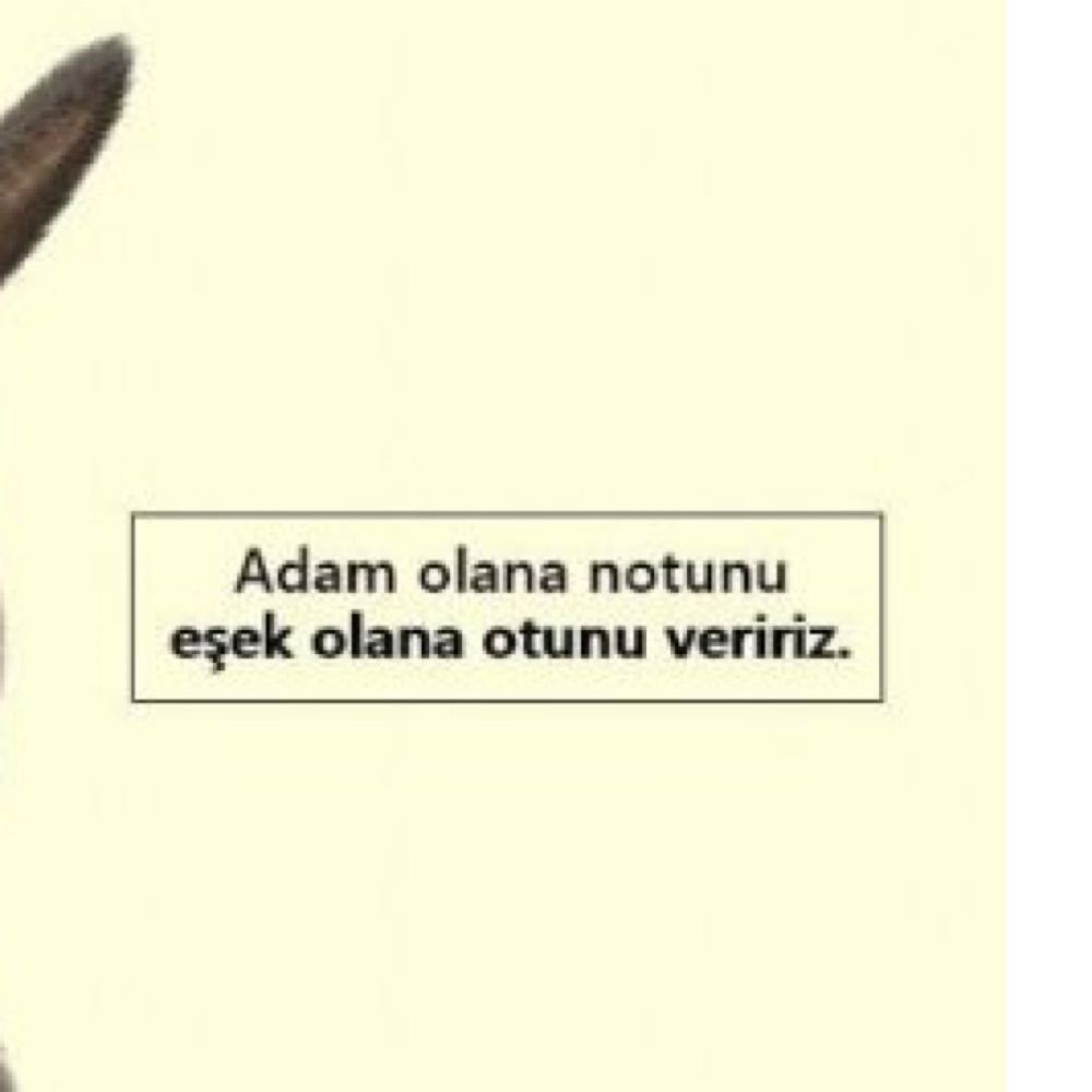 Pardonyani