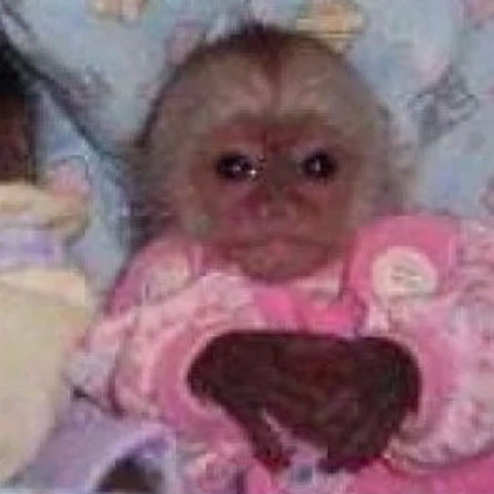 matheus