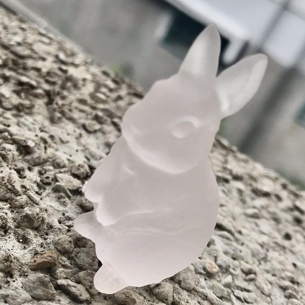 ベレー猫