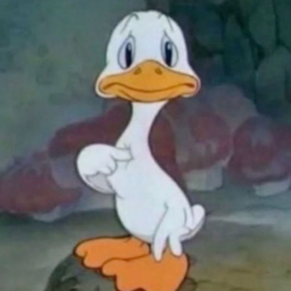 uh