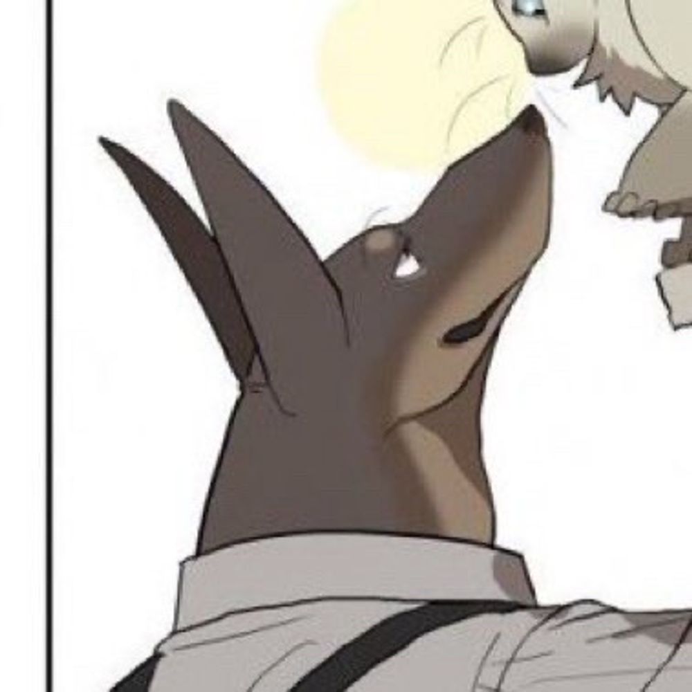 포퍼