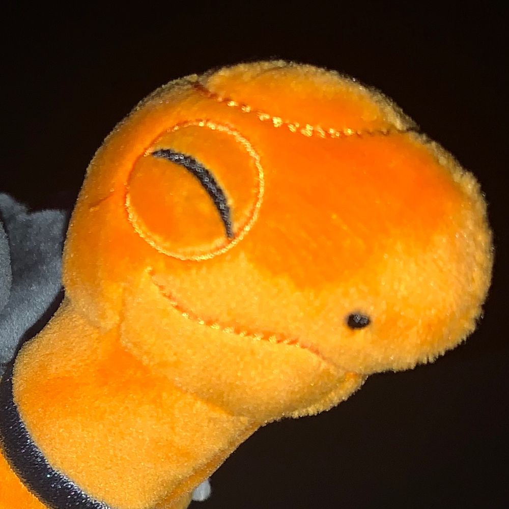 Raptor