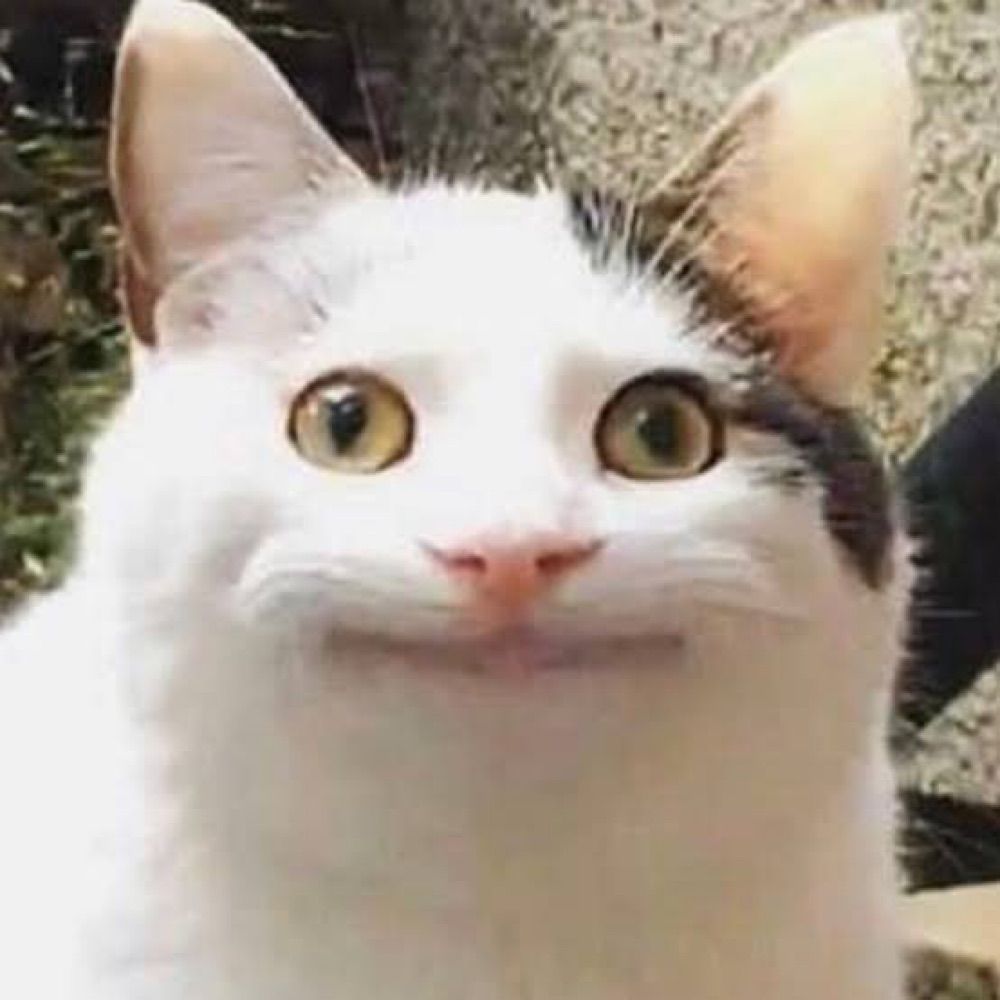 のり