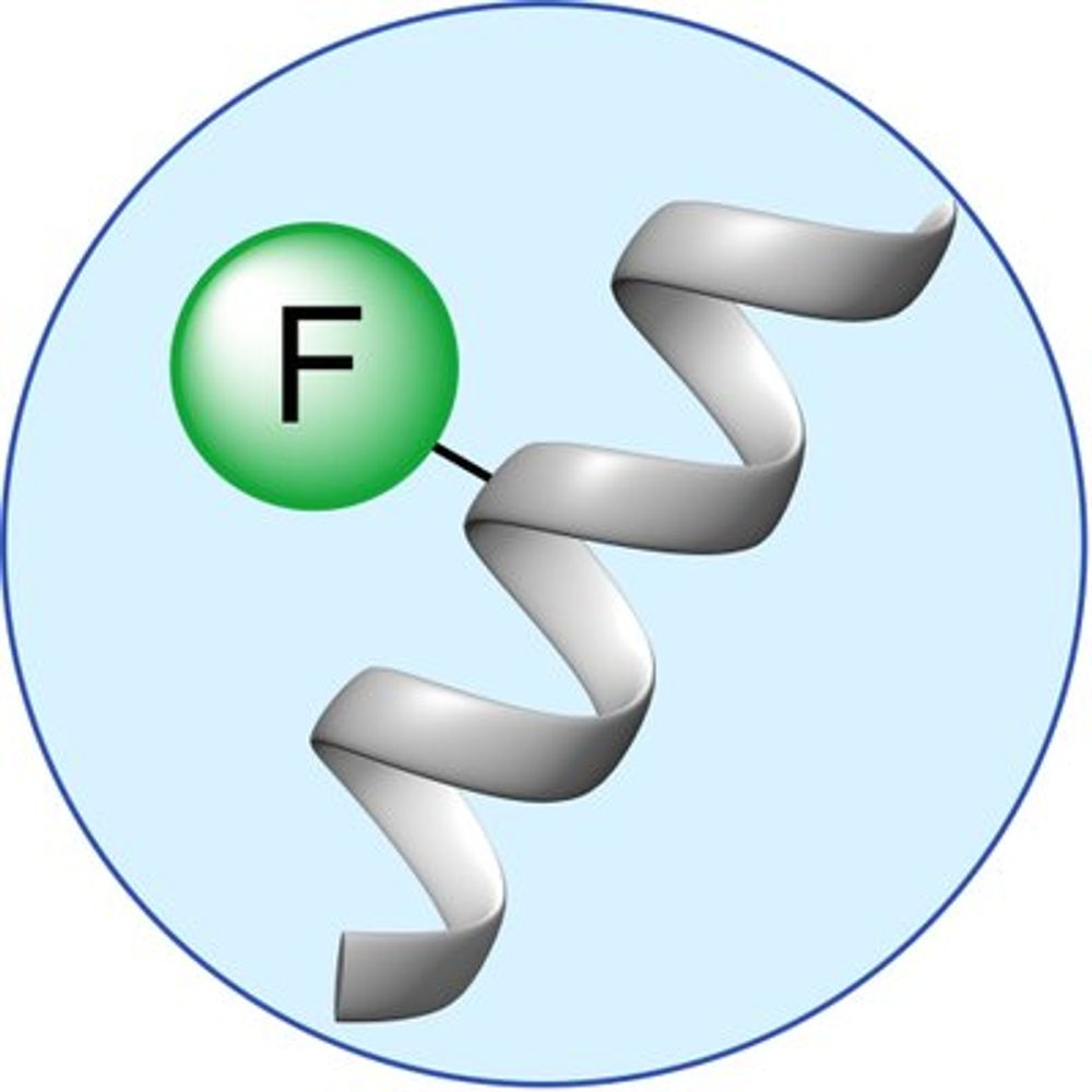 KokschGroup