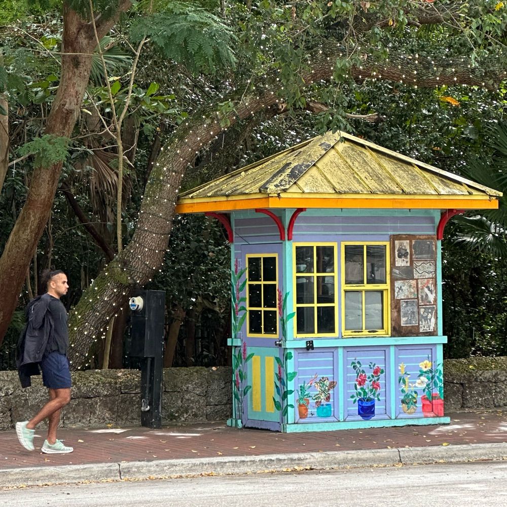 Coconut Grove Grapevine