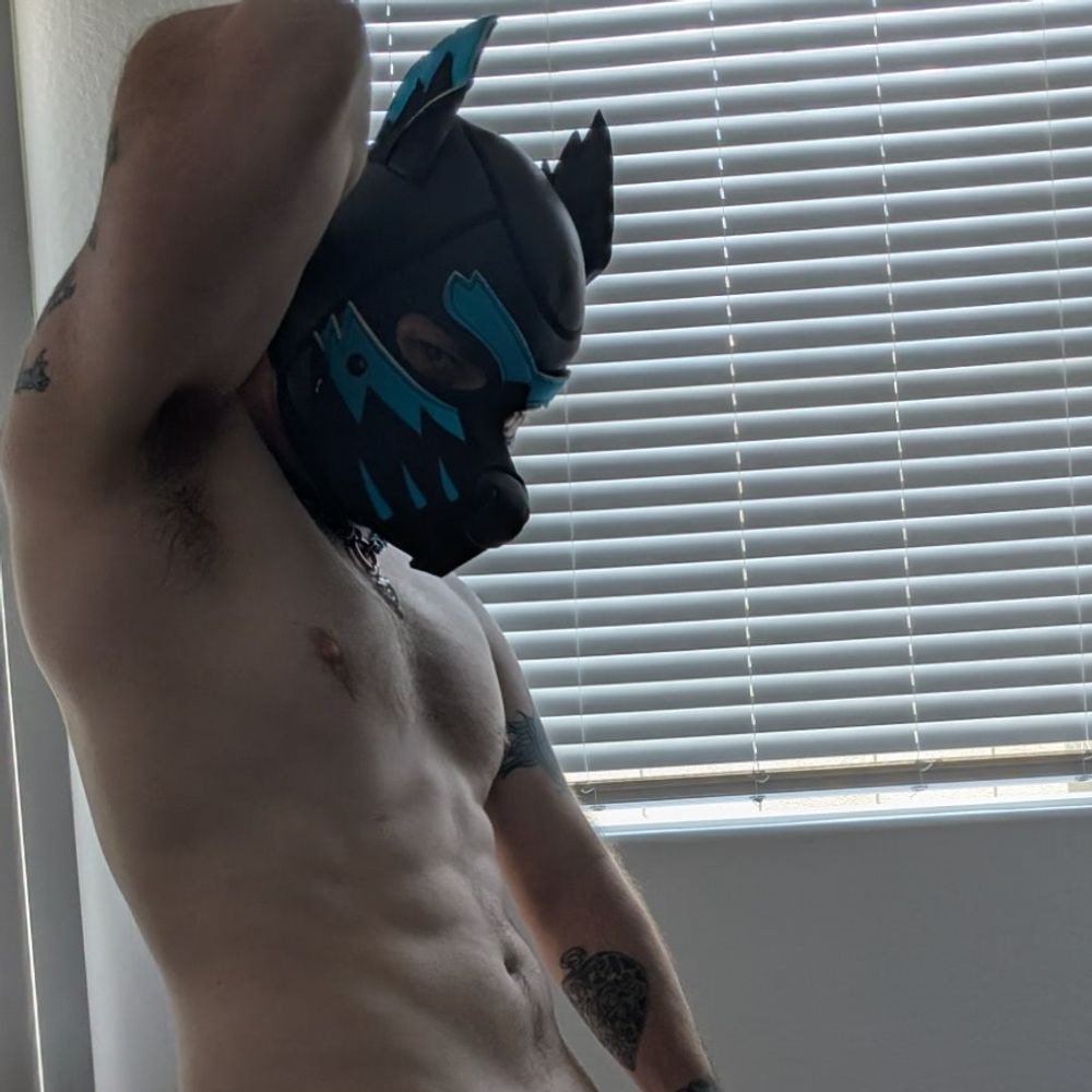 Pup Faffs