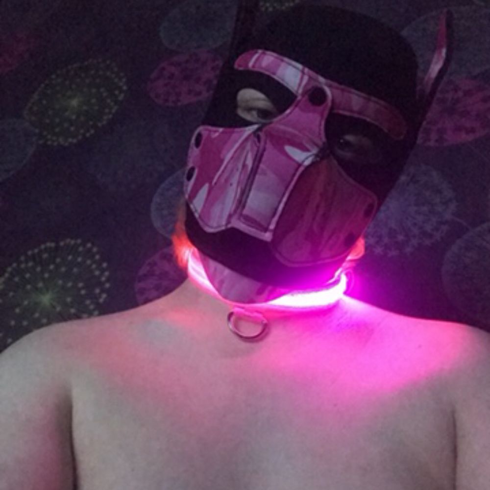 Pup Jäger 