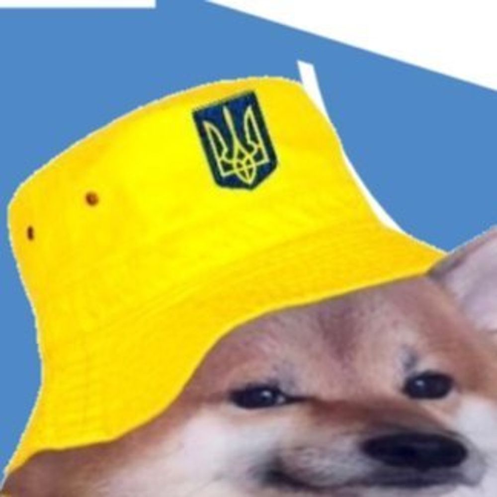NotAFella