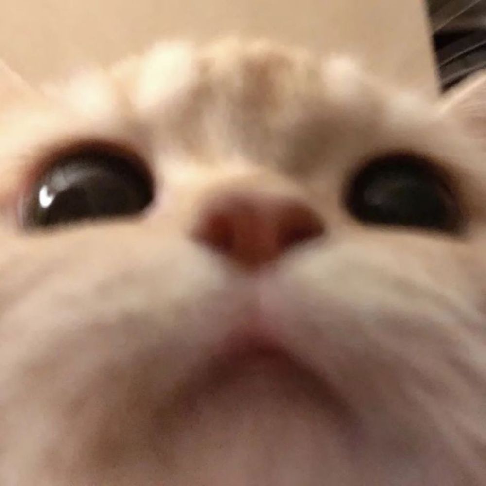 natyzinhanv 