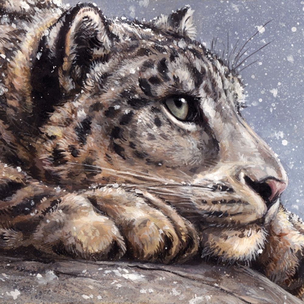 Orinn the Outcast