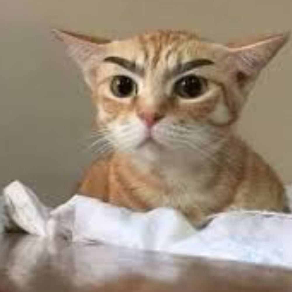 블루