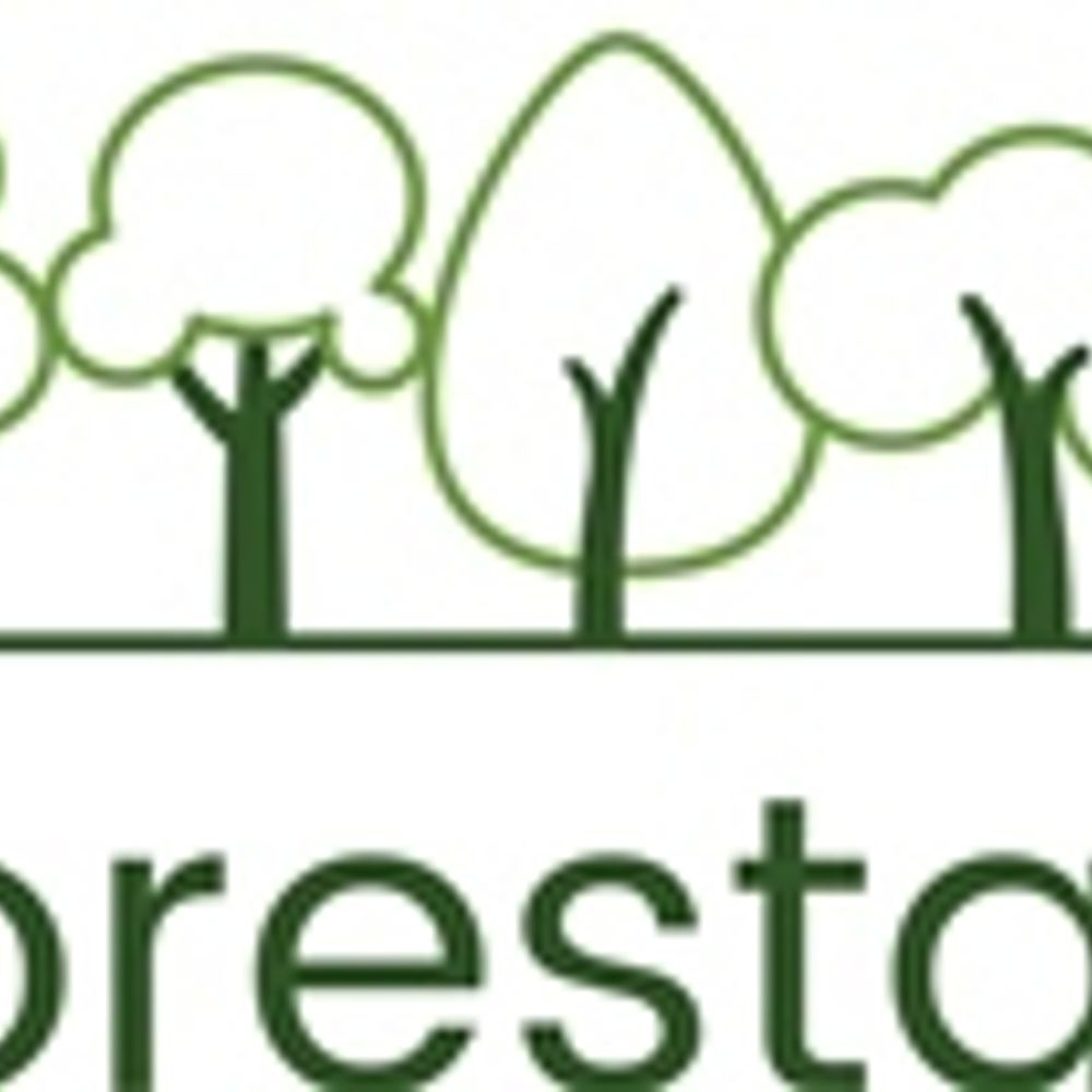 Reforestation