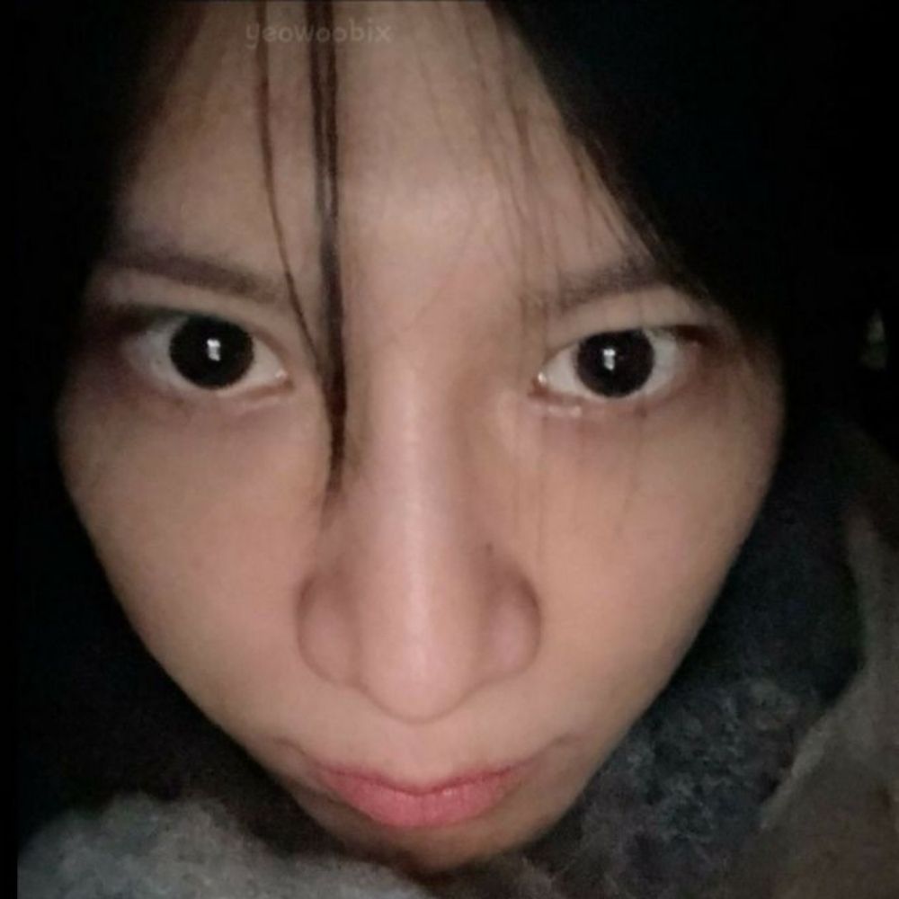 gekko
