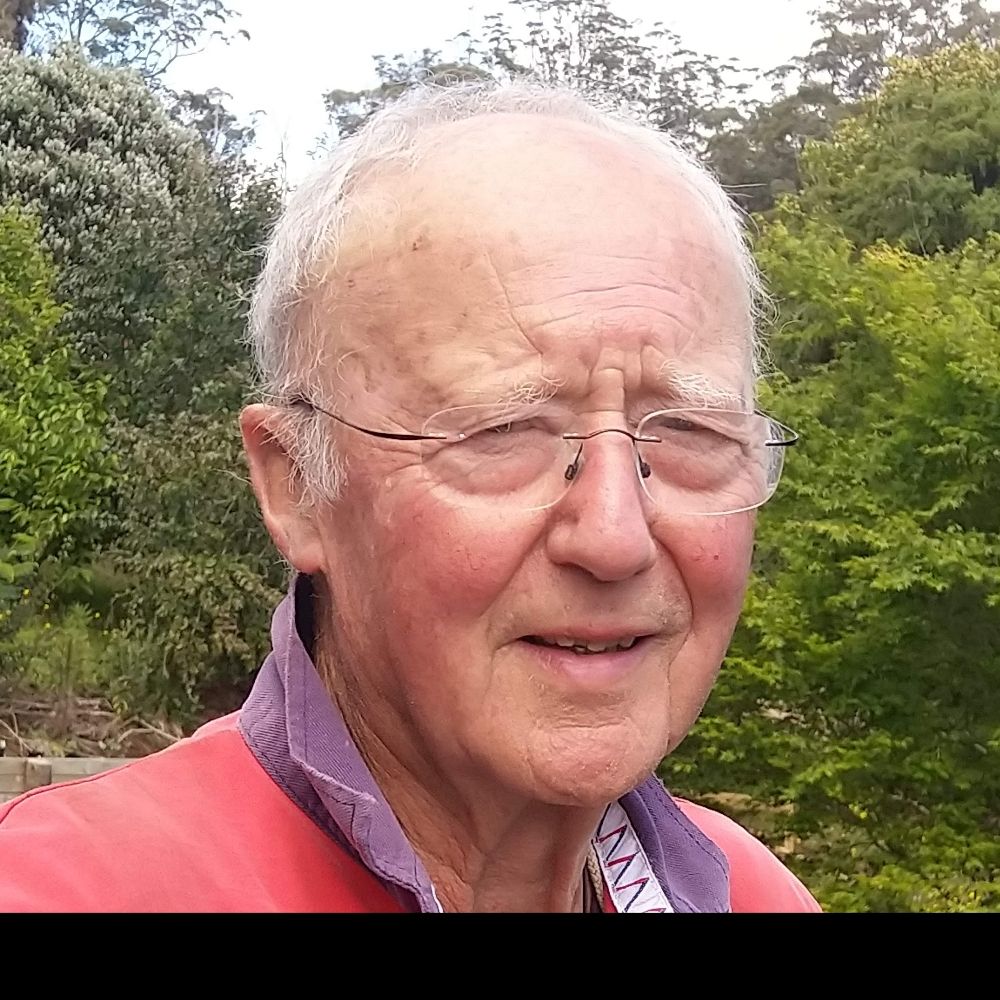 Bob Bingham