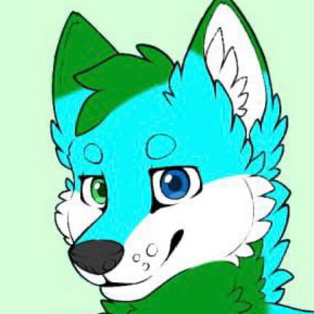 Zero the Wolf