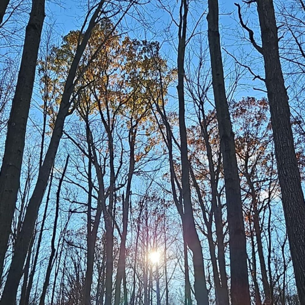 margaretncapes.bsky.social