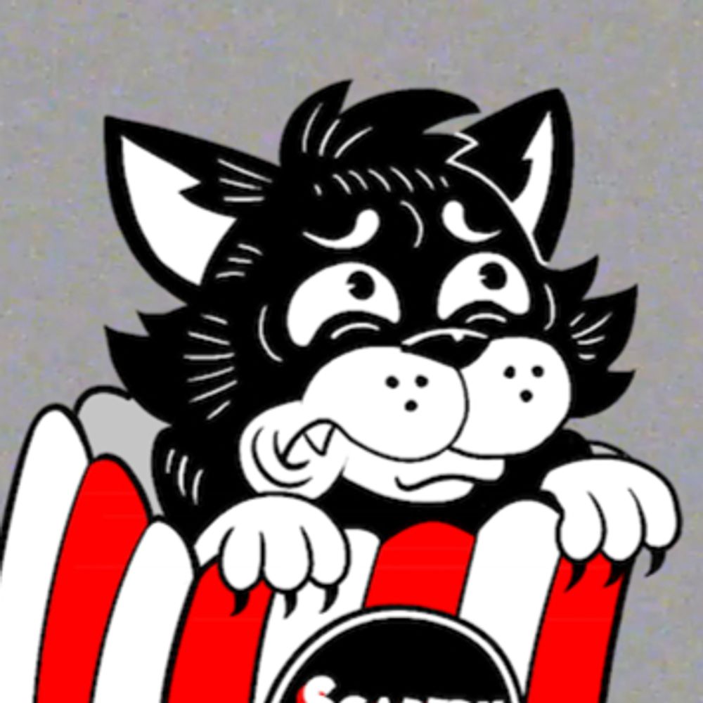 scaredycatfilmclub.bsky.social