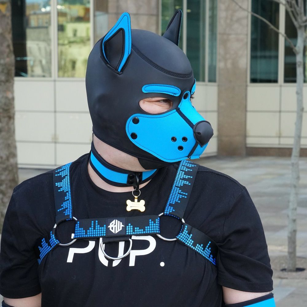 Dante 🔜 Pup Out London (May 3rd)