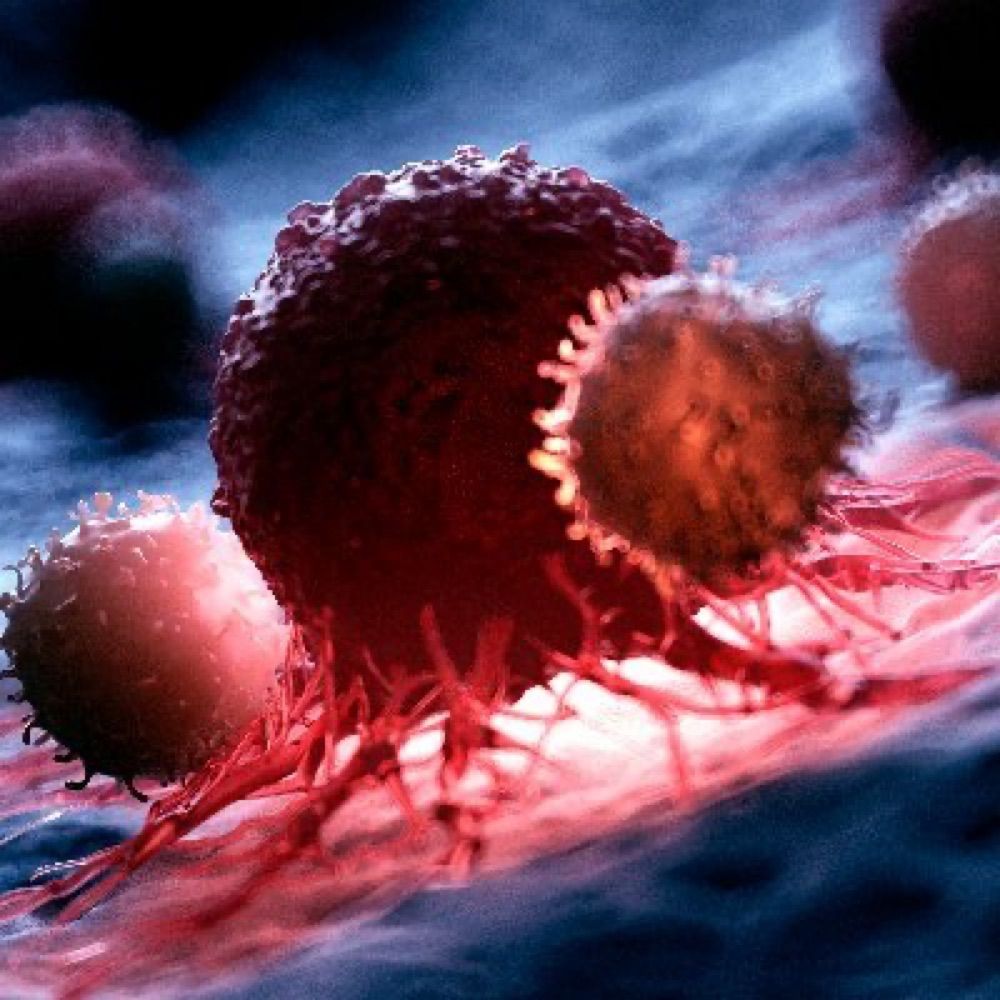 Systems Cancer Immunology Group at KCL