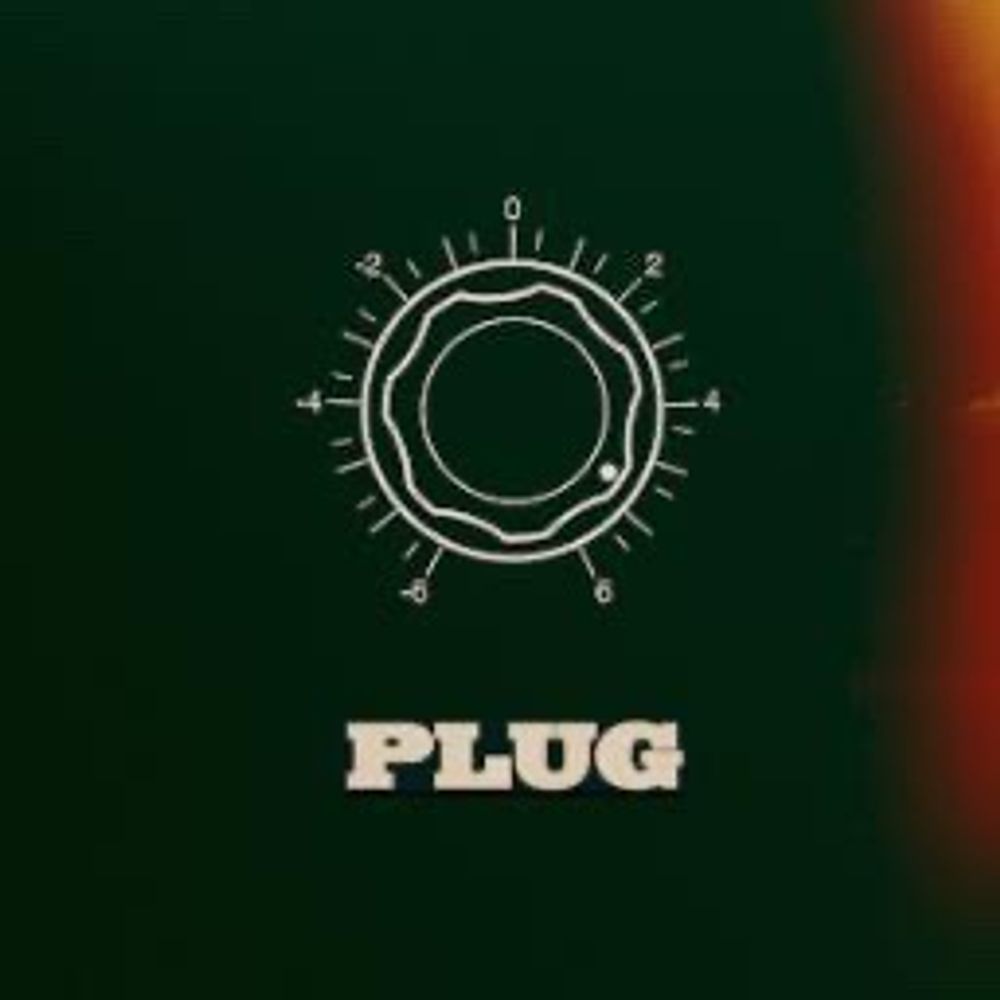 Plug