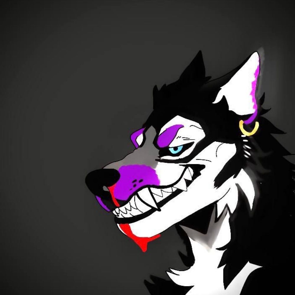 KutoThaHusky
