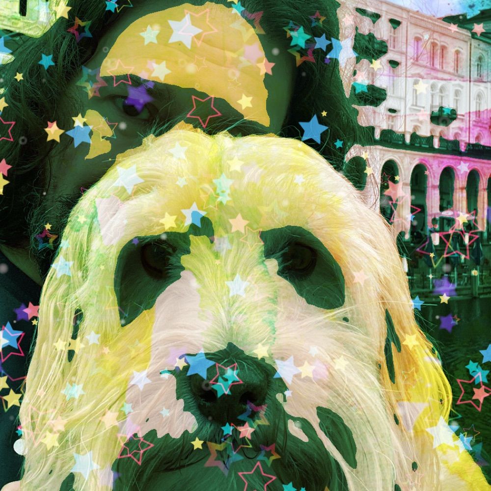 Mein Hund