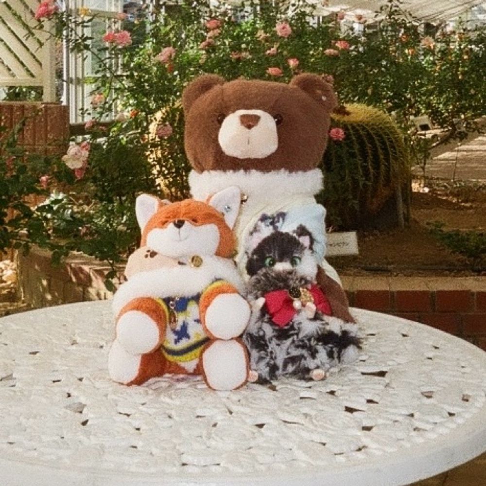 がりゅ's Family