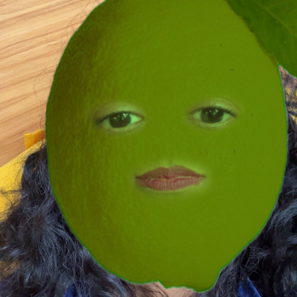 Pipa